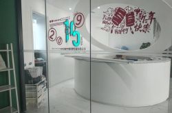 （4分钟教程）上海咨询公司是干嘛的_哔哩哔哩